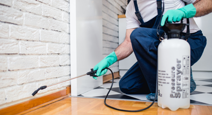 Image of a pest control professional spraying pesticide.