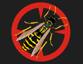 Protect Your Home: Stinging Insects, Bat Eviction, and Fall Planning Ahead!